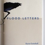 Floodletters600